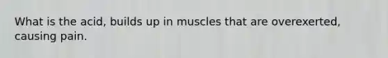 What is the acid, builds up in muscles that are overexerted, causing pain.