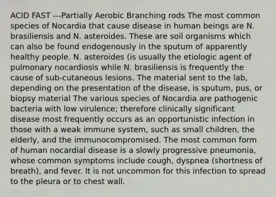 ACID FAST ---Partially Aerobic Branching rods The most common species of Nocardia that cause disease in human beings are N. brasiliensis and N. asteroides. These are soil organisms which can also be found endogenously in the sputum of apparently healthy people. N. asteroides (is usually the etiologic agent of pulmonary nocardiosis while N. brasiliensis is frequently the cause of sub-cutaneous lesions. The material sent to the lab, depending on the presentation of the disease, is sputum, pus, or biopsy material The various species of Nocardia are pathogenic bacteria with low virulence; therefore clinically significant disease most frequently occurs as an opportunistic infection in those with a weak immune system, such as small children, the elderly, and the immunocompromised. The most common form of human nocardial disease is a slowly progressive pneumonia, whose common symptoms include cough, dyspnea (shortness of breath), and fever. It is not uncommon for this infection to spread to the pleura or to chest wall.