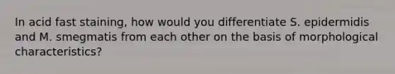 In acid fast staining, how would you differentiate S. epidermidis and M. smegmatis from each other on the basis of morphological characteristics?