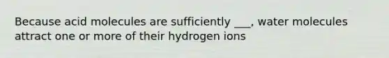 Because acid molecules are sufficiently ___, water molecules attract one or more of their hydrogen ions