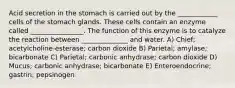 Acid secretion in the stomach is carried out by the ____________ cells of the stomach glands. These cells contain an enzyme called ________________. The function of this enzyme is to catalyze the reaction between ______________ and water. A) Chief; acetylcholine-esterase; carbon dioxide B) Parietal; amylase; bicarbonate C) Parietal; carbonic anhydrase; carbon dioxide D) Mucus; carbonic anhydrase; bicarbonate E) Enteroendocrine; gastrin; pepsinogen