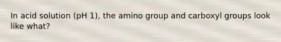 In acid solution (pH 1), the amino group and carboxyl groups look like what?