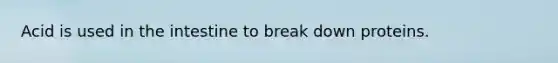 Acid is used in the intestine to break down proteins.