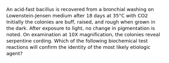 An acid-fast bacillus is recovered from a bronchial washing on Lowenstein-Jensen medium after 18 days at 35°C with CO2 Initially the colonies are buff, raised, and rough when grown in the dark. After exposure to light, no change in pigmentation is noted. On examination at 10X magnification, the colonies reveal serpentine cording. Which of the following biochemical test reactions will confirm the identity of the most likely etiologic agent?