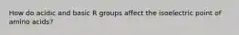 How do acidic and basic R groups affect the isoelectric point of amino acids?