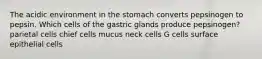 The acidic environment in the stomach converts pepsinogen to pepsin. Which cells of the gastric glands produce pepsinogen? parietal cells chief cells mucus neck cells G cells surface epithelial cells