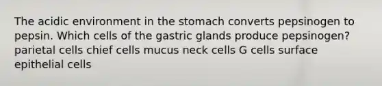 The acidic environment in the stomach converts pepsinogen to pepsin. Which cells of the gastric glands produce pepsinogen? parietal cells chief cells mucus neck cells G cells surface epithelial cells