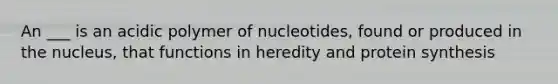 An ___ is an acidic polymer of nucleotides, found or produced in the nucleus, that functions in heredity and protein synthesis