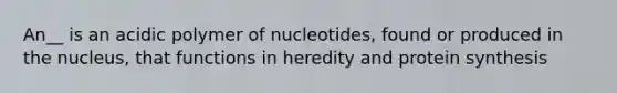 An__ is an acidic polymer of nucleotides, found or produced in the nucleus, that functions in heredity and protein synthesis