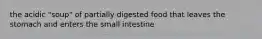 the acidic "soup" of partially digested food that leaves the stomach and enters the small intestine