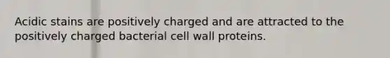 Acidic stains are positively charged and are attracted to the positively charged bacterial cell wall proteins.