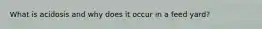 What is acidosis and why does it occur in a feed yard?