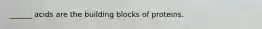 ______ acids are the building blocks of proteins.
