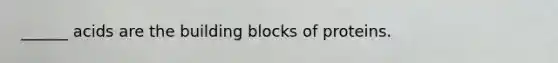 ______ acids are the building blocks of proteins.