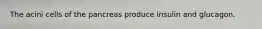 The acini cells of the pancreas produce insulin and glucagon.