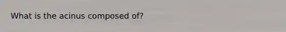 What is the acinus composed of?