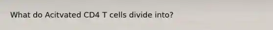 What do Acitvated CD4 T cells divide into?