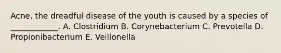 Acne, the dreadful disease of the youth is caused by a species of ____________. A. Clostridium B. Corynebacterium C. Prevotella D. Propionibacterium E. Veillonella