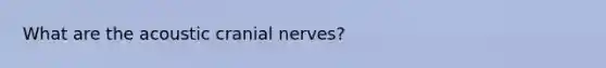 What are the acoustic cranial nerves?