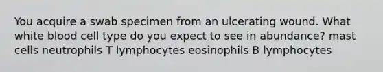 You acquire a swab specimen from an ulcerating wound. What white blood cell type do you expect to see in abundance? mast cells neutrophils T lymphocytes eosinophils B lymphocytes