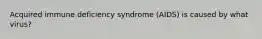 Acquired immune deficiency syndrome (AIDS) is caused by what virus?