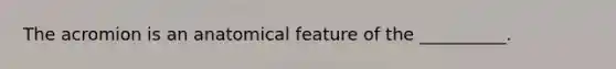 The acromion is an anatomical feature of the __________.