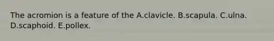 The acromion is a feature of the A.clavicle. B.scapula. C.ulna. D.scaphoid. E.pollex.