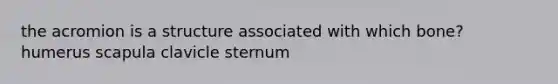 the acromion is a structure associated with which bone? humerus scapula clavicle sternum