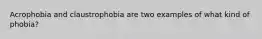 Acrophobia and claustrophobia are two examples of what kind of phobia?