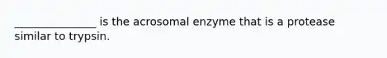 _______________ is the acrosomal enzyme that is a protease similar to trypsin.