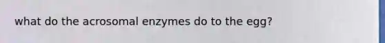 what do the acrosomal enzymes do to the egg?