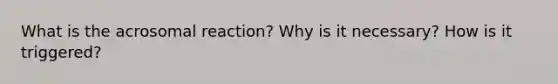 What is the acrosomal reaction? Why is it necessary? How is it triggered?