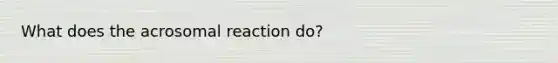 What does the acrosomal reaction do?