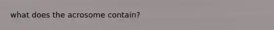 what does the acrosome contain?