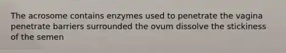 The acrosome contains enzymes used to penetrate the vagina penetrate barriers surrounded the ovum dissolve the stickiness of the semen