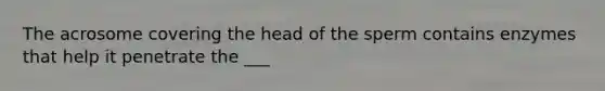 The acrosome covering the head of the sperm contains enzymes that help it penetrate the ___