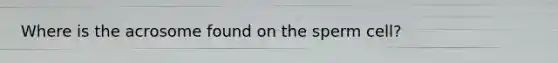 Where is the acrosome found on the sperm cell?