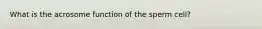 What is the acrosome function of the sperm cell?