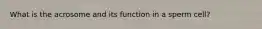What is the acrosome and its function in a sperm cell?