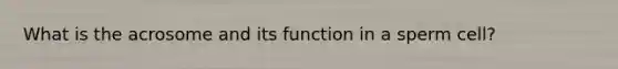 What is the acrosome and its function in a sperm cell?