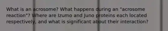 What is an acrosome? What happens during an "acrosome reaction"? Where are Izumo and Juno proteins each located respectively, and what is significant about their interaction?