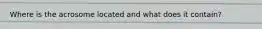 Where is the acrosome located and what does it contain?