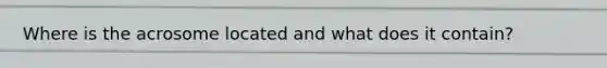 Where is the acrosome located and what does it contain?