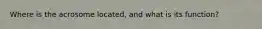 Where is the acrosome located, and what is its function?
