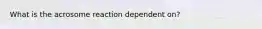 What is the acrosome reaction dependent on?