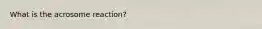 What is the acrosome reaction?