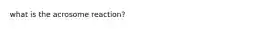 what is the acrosome reaction?