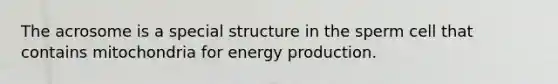 The acrosome is a special structure in the sperm cell that contains mitochondria for <a href='https://www.questionai.com/knowledge/k3xoUYcii1-energy-production' class='anchor-knowledge'>energy production</a>.