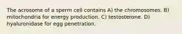 The acrosome of a sperm cell contains A) the chromosomes. B) mitochondria for energy production. C) testosterone. D) hyaluronidase for egg penetration.