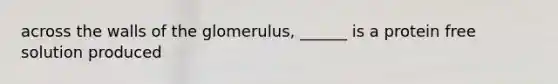 across the walls of the glomerulus, ______ is a protein free solution produced